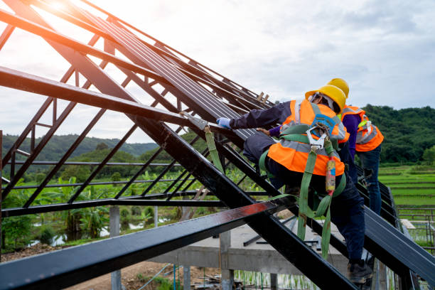 Best Flat Roof Repair Services  in Potterville, MI
