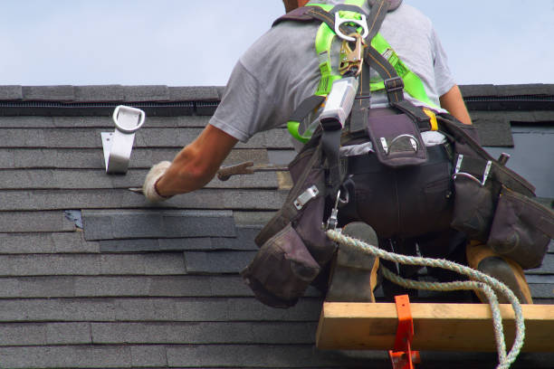 Best Affordable Roofing Company  in Potterville, MI
