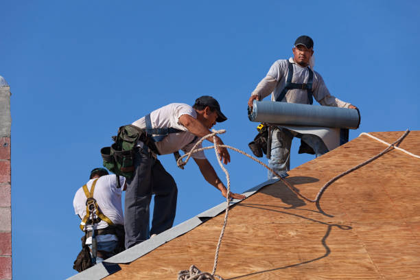 Best Slate Roofing Contractor  in Potterville, MI