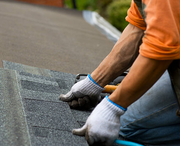 Best Best Roofing Contractors  in Potterville, MI