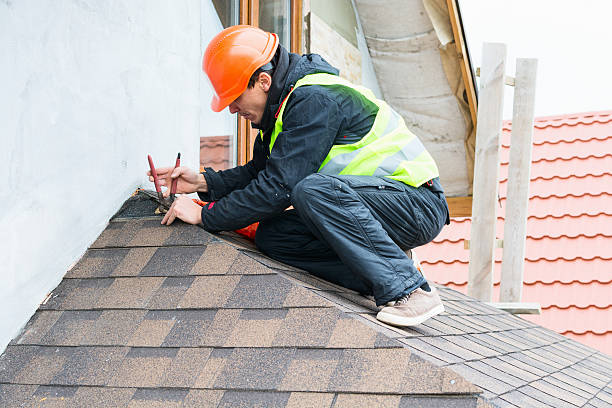 Best Roof Inspection Near Me  in Potterville, MI