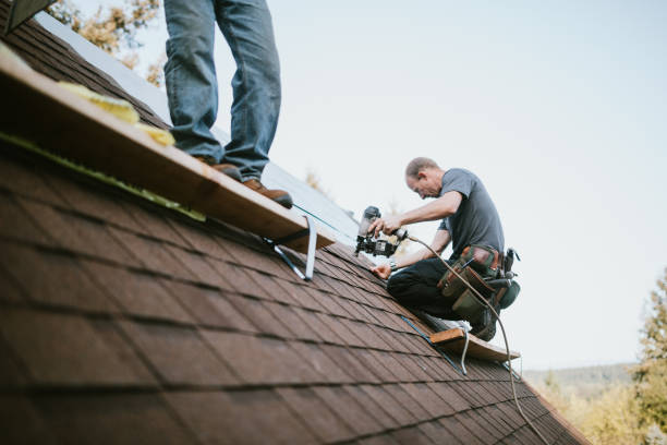 Best Roof Leak Repair  in Potterville, MI